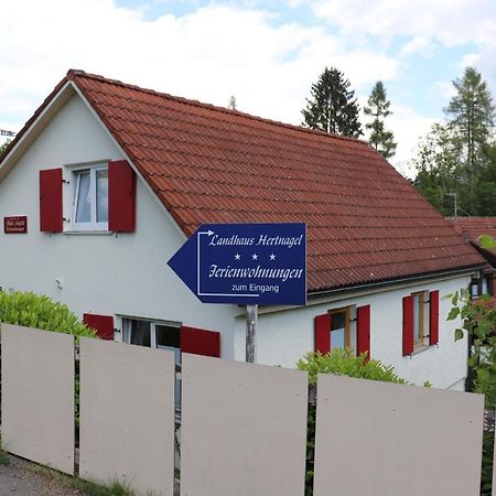 Wohnung #5 Mit Balkon - Zentrale Dennoch Ruhige Lage Mit Terrasse - Stadtbus Vor Der Tuer! Lindau  Exteriör bild