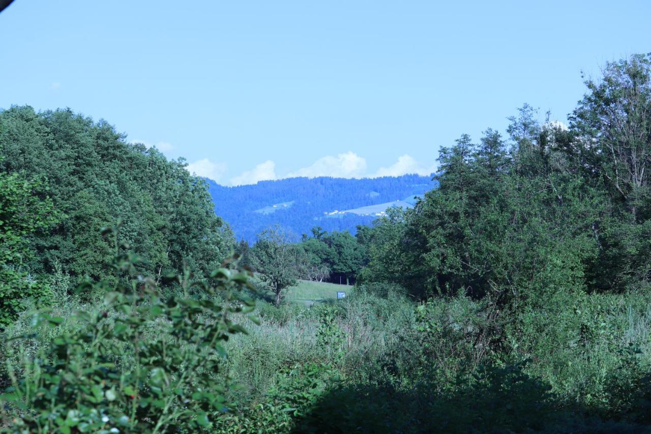 Wohnung #5 Mit Balkon - Zentrale Dennoch Ruhige Lage Mit Terrasse - Stadtbus Vor Der Tuer! Lindau  Exteriör bild