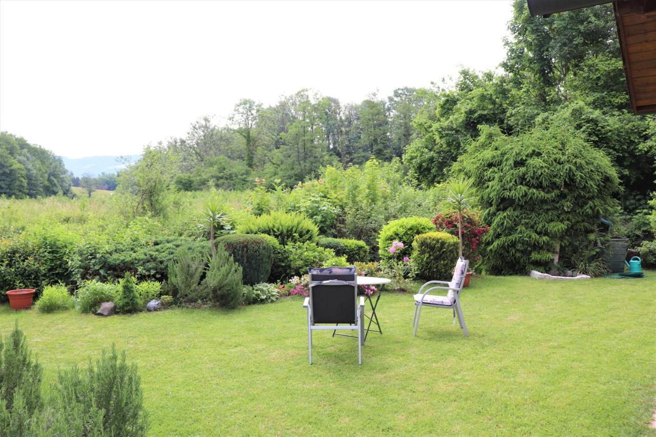 Wohnung #5 Mit Balkon - Zentrale Dennoch Ruhige Lage Mit Terrasse - Stadtbus Vor Der Tuer! Lindau  Exteriör bild